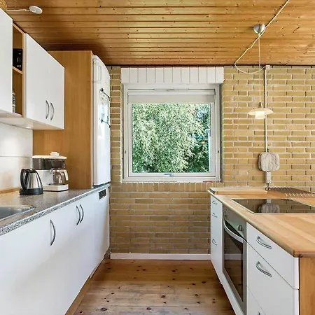 Ae235-aeroskobing-hanses-ager-8